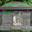 삼다수숲길 주차장 이미지