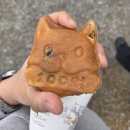 진도읍 조금시장 | 진도 꽃게축제 가는길 백반 맛집 [고향마을] 내돈내먹 후기