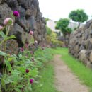 느릅낭집 이미지