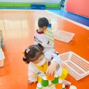 정도 K타이거즈 태권도 이미지