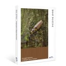 하늘소 - 광명시 오리로964번길 23-1 | 하늘소