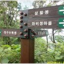 대구대진초등학교 이미지