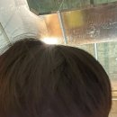 블루밍 안경 이미지