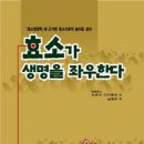 효소지음 이미지