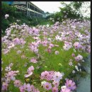 완우농장 이미지