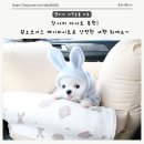 펫스토어1004 | 원오브어스 강아지 카시트 최고의 안전함 보호자도 반려견도 만족하는 추천템 베이비시트