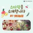 샛터농장 이미지