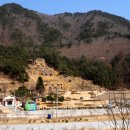 아랫대티 숲 이미지