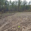 참조은태양광발전소 이미지