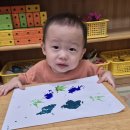 🍃🎨나뭇잎 찍기 이미지