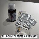 [시험관 임신일기] 임신중기 목감기, 이비인후과 항생제 처방받아도 될까요? (feat. 다음 주 양수검사)