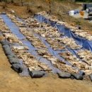 청주흥덕지구축구공원 이미지