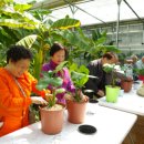 인제군치매안심센터 이미지