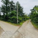 진석농장 이미지