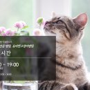 유어캣 고양이병원 이미지