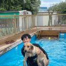 BG독케어센터 이미지