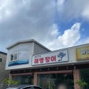 해병장어