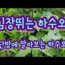 단방