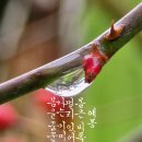 예몽 이미지