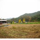 삼성사슴농장 이미지