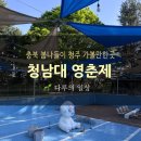 옥천군노인복지관(본관) | 청남대 영춘제 후기｜주차·모노레일·드라이브 코스까지 총정리