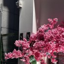 눈꽃을나누다구미점 이미지