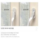 영림화학 주식회사 이미지