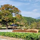 연정1리 이미지