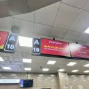 919 | 부산 나트랑 직항 항공권 비엣젯항공 VJ919 VJ990 비상구 좌석 탑승후기
