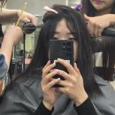 젤라헤어 | 손상된 머릿결도 문제없는 젤라매직 후기 동아대미용실 해리헤어 하단점