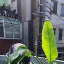 저스트프렌즈 작은도서관 이미지