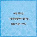봉수산자연휴양림 | 예산 봉수산 자연휴양림에서 즐기는 힐링 여행 가이드