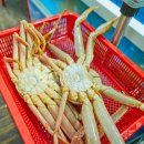 동명항대게마을 이미지