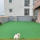 헤이퍼피 이미지