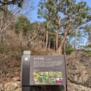 약이원 | 광주 도척면 - 화담숲 - 2026년 3월 27일 방문 후기 : 제 2부 - 소나무정원/색채원/반딧불이원/곤충...