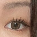 렌즈미 미금점 이미지