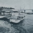 그늘과 빛의 기억  이미지