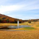 힐링샷