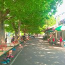 담양댓잎아이스크림