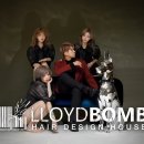 로이드밤헤어 이미지