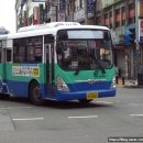 삼안여객(주) 이미지