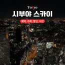 P-5205 | 도쿄 야경명소 시부야 스카이 예약, 가격, 할인, 시간대 추천