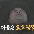 편백원 이미지