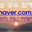 한국전력, POSCO, 현대제철, LG화학, SK이노베이션 분석('20.11.01) - 최근 방송했었던 종목 분석 이미지