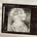 초록마을 신곡점 | 수다 마흔하나. 너무 중구난방이라 제목을 정하지 못하겠을 때 250921