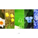 기쁨공인중개사사무소 이미지