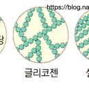 깜지 - 창원시 마산회원구 315대로 758 | 깜지