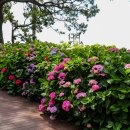 송림공원 이미지