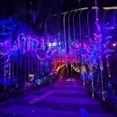 광명동굴 이미지