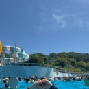 횡성펜션 숲속의쥬얼리 이미지